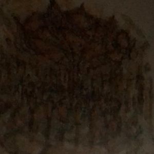 Meet your Posher, Anne